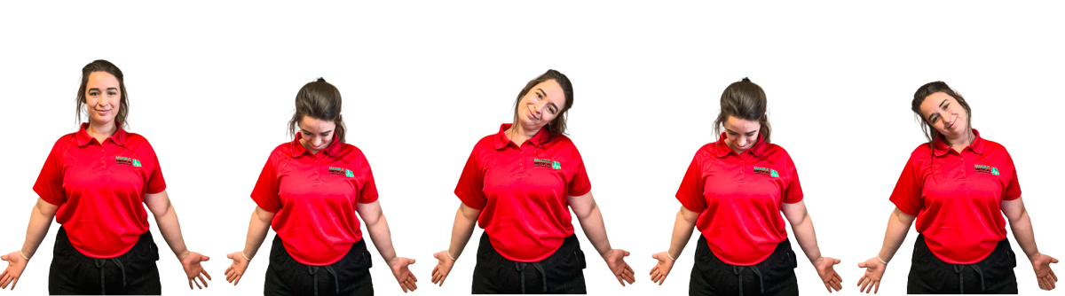 head-bobbles.png